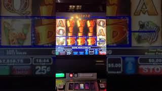 max bet #slots wildlife # jackpot 5$ bet