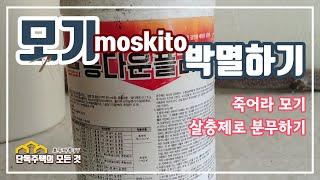 롱다운플러스로 모기 박멸하기