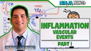 Immunology  Inflammation Vascular Events Part 1