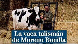 El reencuentro de Moreno Bonilla con Fadi su vaca talismán