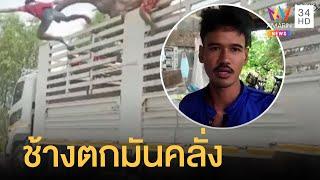 ช้างตกมันสลัดควาญช้างตัวลอยกระแทกพื้น  ข่าวเที่ยงอมรินทร์  6 ก.ค.65