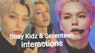 Stray Kidz & SEVENTEEN Interactions talking covers + reactions