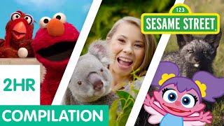 Sesame Street Animals for Kids Compilation  2 Hours