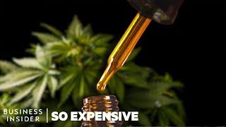 Why Full-Spectrum CBD Oil is So Expensive  So Expensive