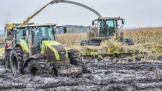 Mudslinging with John Deere tractors  chopping maize in the mud  Claas Jaguar
