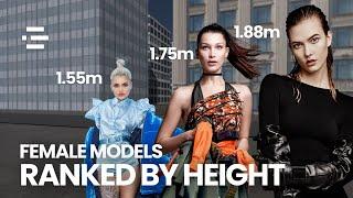 Female Models Height Comparison 3D