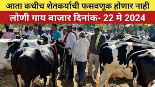 लोणी HF गायांचा बाजार  22 मे 2024  Loni HF cow market  आता कधीच शेतकऱ्याची फसवणूक होणार नाही