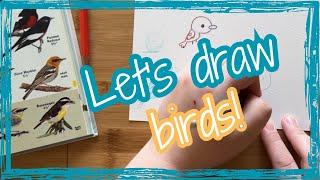 Draw birds with me  My process on how on how I draw birds in different styles