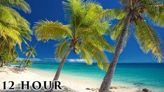 Hidden Tropical Paradise 12 HOUR Ambient Nature Film No Loops Outer Fiji Islands Pure Relaxation