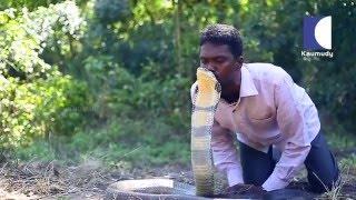 Vava Suresh Kissing the Deadliest Snake - The King Cobra  in Kerala  Snake Master  Kaumudy TV