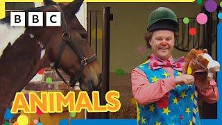Mr Tumble Loves Animals    +30 minutes  Mr Tumble and Friends