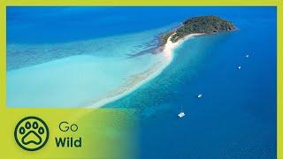 Australias Greatest Islands - Go Wild