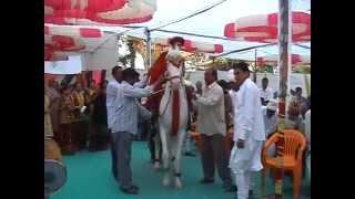 Horse dancing & Jumping on bed @ Jamnagar India