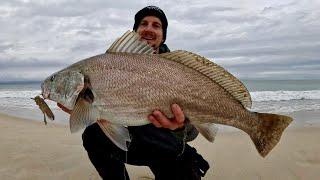 Beach Fishing Mulloway WHY didn’t I try this Rig sooner ?