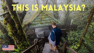 best thing to do in the CAMERON HIGHLANDS  Malaysia travel guide