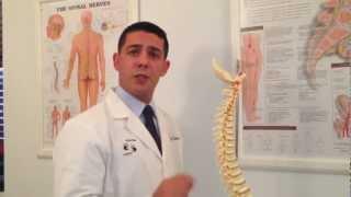 Rashad Trabulsi on the Human Spine