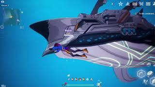 umbra whale