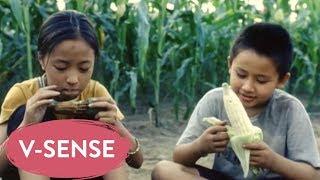 Phim Việt Nam Cổ Cực Táo Bạo - Phim Hay Việt Nam - Tâm hồn người mẹ