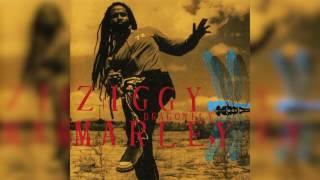 Dragonfly - Ziggy Marley  DRAGONFLY