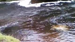 Waterfalls in Brecon beacons