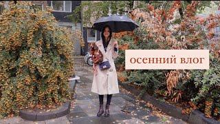 День со мной. Осенний уют рецепт и домашние дела 