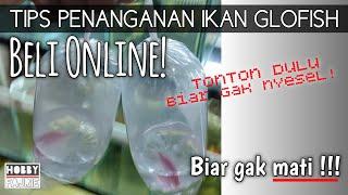 How to handle glofish purchased online