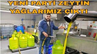 2 PARTİ ZEYTİN YAĞLARIMIZ ÇIKTIYOK BÖYLE KALİTE