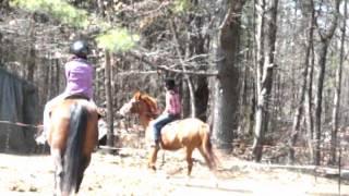Climax- Frisky HorseFirst Time Being Naughty Under Saddle