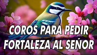 50 Cadena De Coros Antiguos Para Pedir Fortaleza Al Señor  Coritos De Fuegos Poder Y Uncion