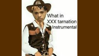 What in XXXTarnation Instrumental