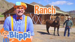 Learning Farm Vehicles and Animals With Blippi  Educational Videos For Kids