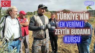 Zeytin Budama Kursu.🫒#budama #erenvural #zeytinbudama 🫒