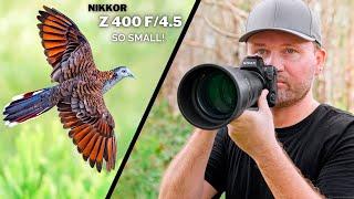 LIGHTWEIGHT POWERHOUSE Or UNDERWHELMING Choice? Nikon 400 f4.5 vs the Competition  Field Review
