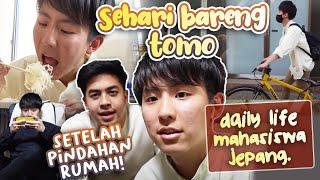 SEHARI BARENG TOMO DI RUMAH BARU SETELAH PINDAHAN  DAILY LIFE MAHASISWA JEPANG