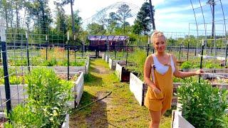 Learn to Garden Tips and Tricks in a Raised Bed Garden Tour Tour 3