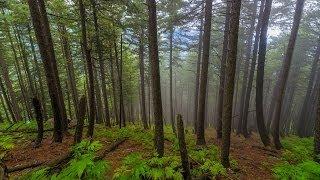 Naranag to Gangabal trek  Harmukh Bartal  Kashmir Great Lakes Trek  Day 7  S01E07