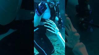 Vortex Springs is basically a big Scuba Diving party underwater #scubadiving #divetravel