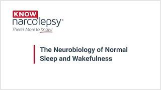 The Neurobiology of Normal Sleep and Wakefulness