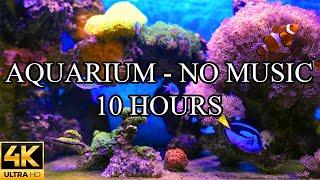 Aquarium 4K Video Ultra HD NO MUSIC and NO ADS - 10 Hours  Fish Tank Sounds For Sleep