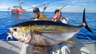 Giant Yellowfin Tuna Under Shrimp Boats Catch Clean & Cook NLBN Lure Tuna Fishing