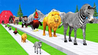 Paint & Animals DuckGorillaLionElephantCowSheep Fountain Crossing Transformation Animal Cartoon