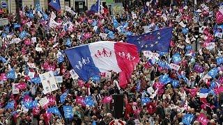 Франция акции за и против суррогатного материнства и ВРТ для однополых пар