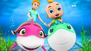 Baby Shark Family & More Songs For Kids  Cartoons TV - Nursery Rhymes