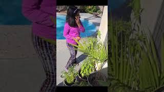 Itty bitty gardening #gardening#harvesting#smiles#fun