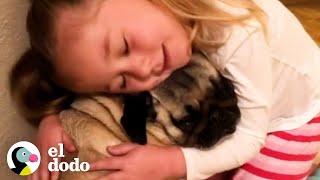 Niños que crecen con perros  Almas Gemelas  El Dodo