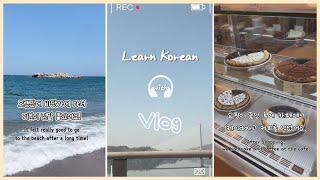 Learn Korean with Vlog Shorts Compilation EP 1-10