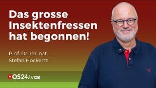 Chitinase – Die Grosse Gefahr beim Insektenfrass  Prof. Dr. rer. nat. Stefan Hockertz  QS24