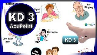 KD 3 - Acupuncture Point