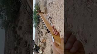 Powerful slingshots and crossbows for hunting