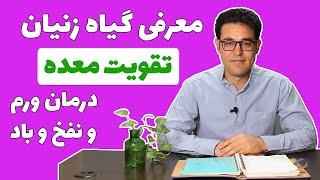 گیاه زنیان  خواص درمانی زنیان  زنیان چیست  درمان نفخ  و باد شکم  درمان نفخ معده  درمان نفخ